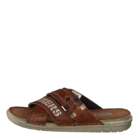 44sb001-187470 Brown