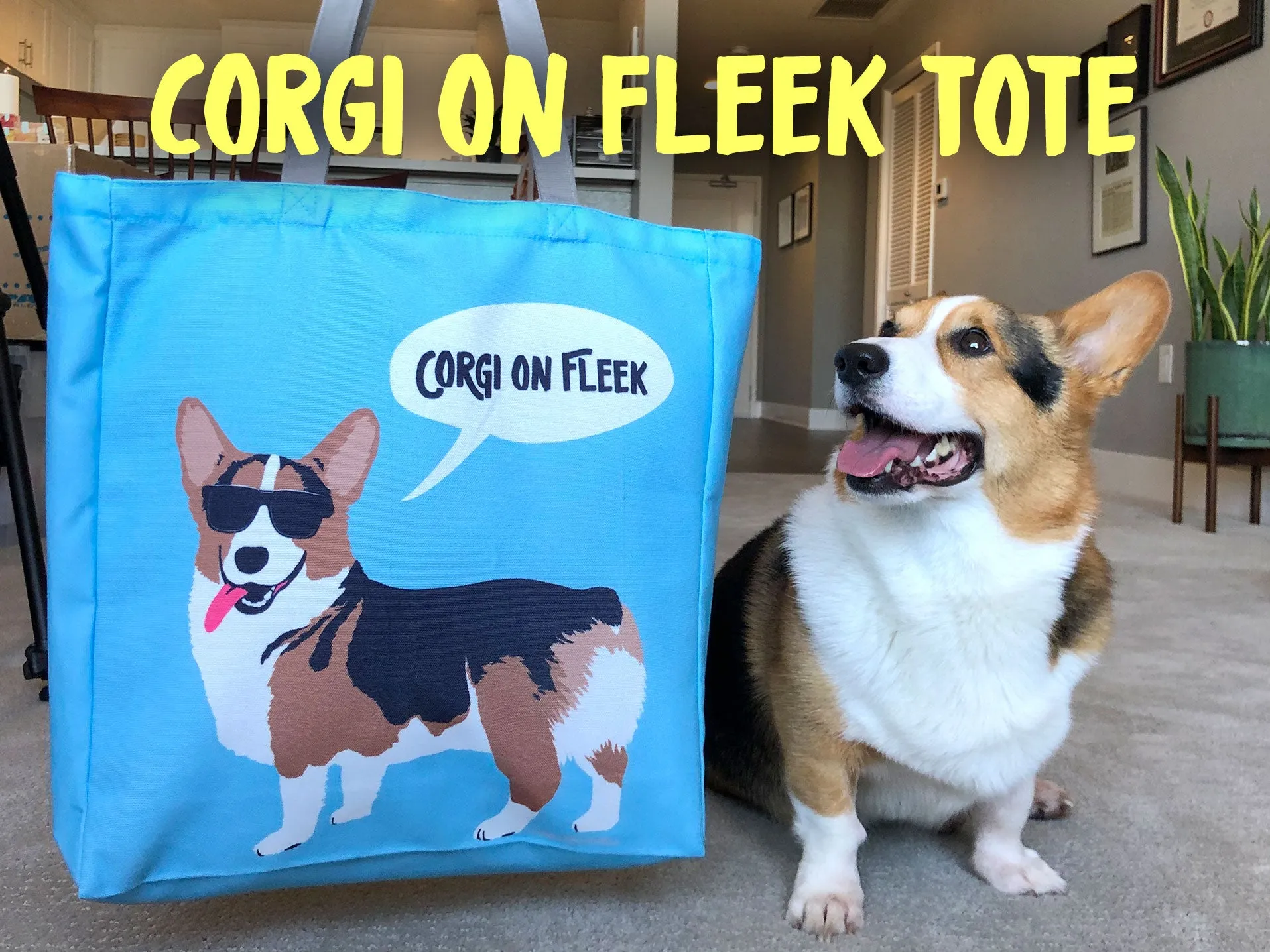 Corgi On Fleek Canvas Tote Bag